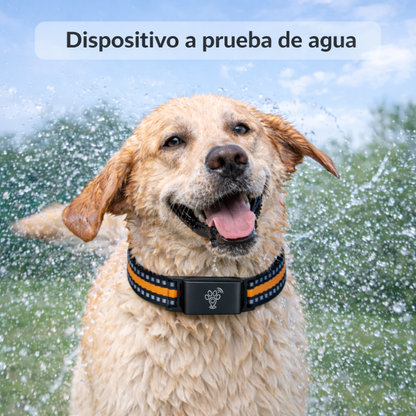 Localizador GPS - Conocé su ubicación siempre
