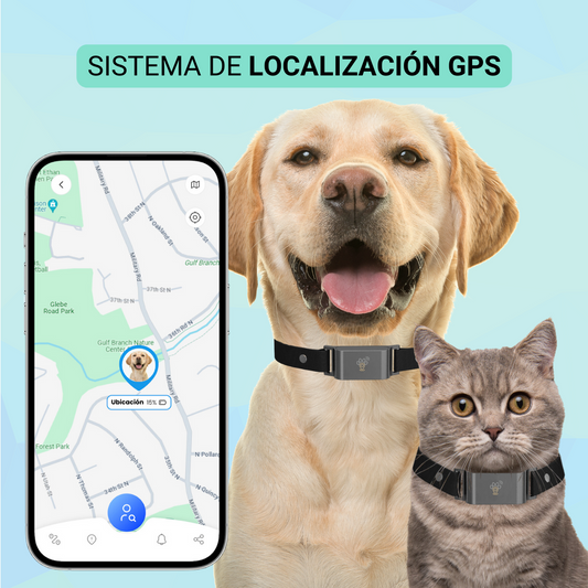 Localizador GPS - Conocé su ubicación siempre